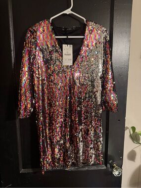 Zara Multicolor/Silver Reversible Sequins Dress